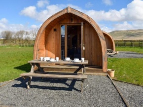 Barn Scar-Uk1394